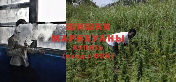 трава Белая Калитва