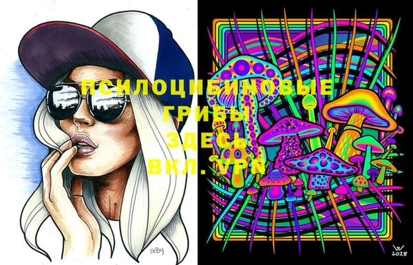крисы Нягань