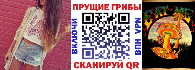 дарнет шоп Скопин Псилоцибиновые грибы ЛСД