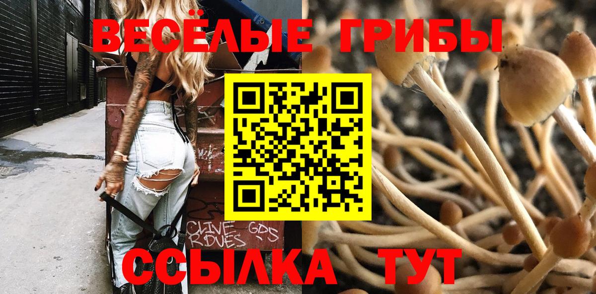 Псилоцибиновые грибы Psilocybine cubensis Скопин