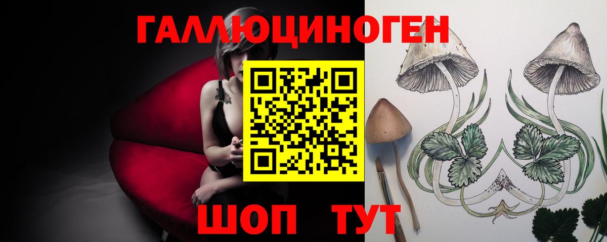 где купить наркотик  Галлюциногенные грибы GOLDEN TEACHER  Вход с VPN  Скопин  Псилоцибиновые грибы Magic Shrooms 